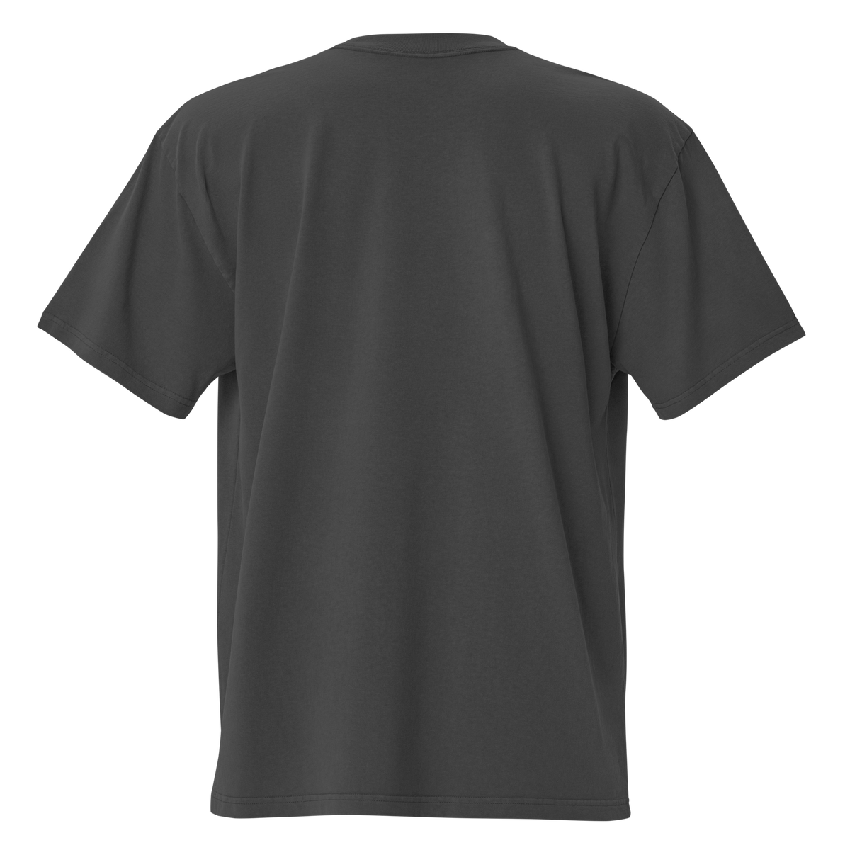 Tshirt Comfy Persian Lion | Ancient Persia Heritage